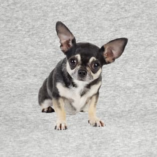 Cute Goofy Chihuahua Dog With Big Ears T-Shirt
